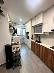 Blk 524 Pangshan Valley (Bukit Panjang), HDB 5 Rooms #574485951